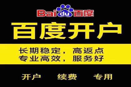 SEM服务案例：助力企业拓展海外市场